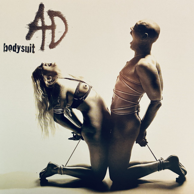Bodysuit album cover