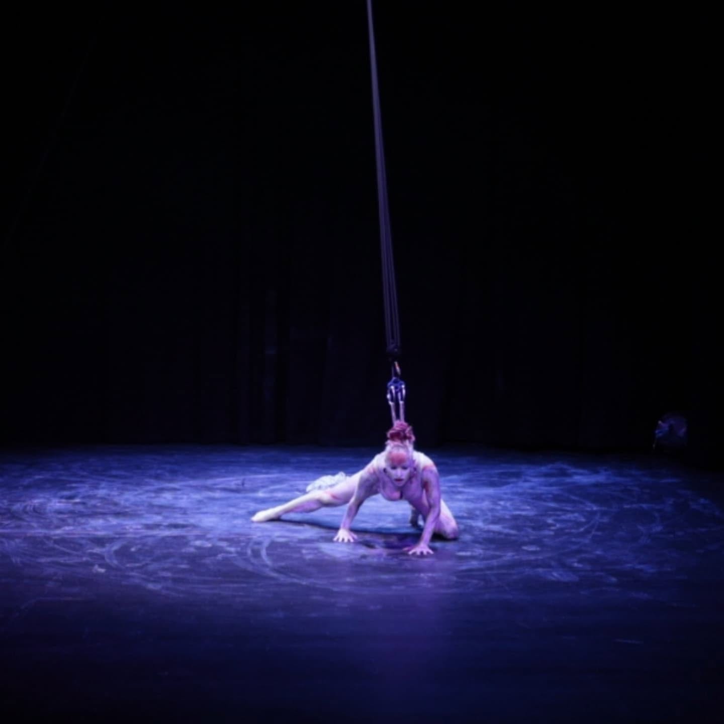 A performer suspended above another performer in Horse Heart